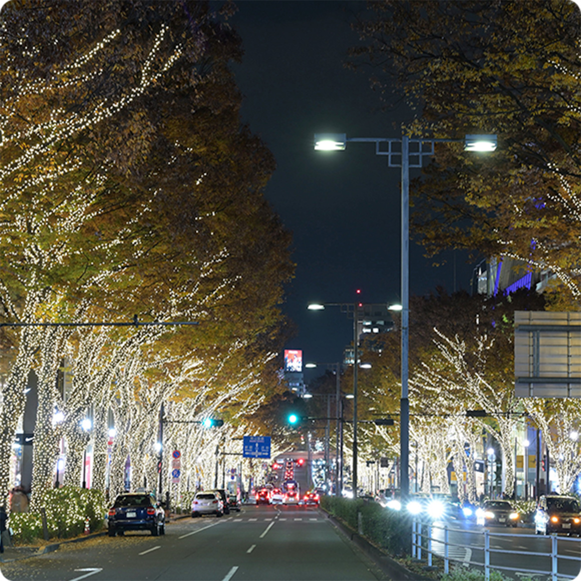 表参道 イルミネーション 2025 | OMOTESANDO ILLUMINATION 2025